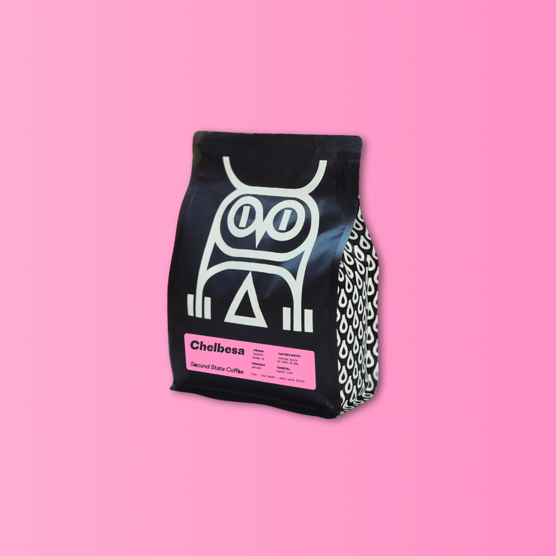 Ethiopia Chelbesa — Ethiopia by Second State Coffee