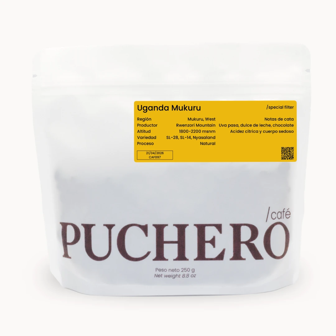 Rwanda Isimbi Kivu Washed Filter by Somos Puchero