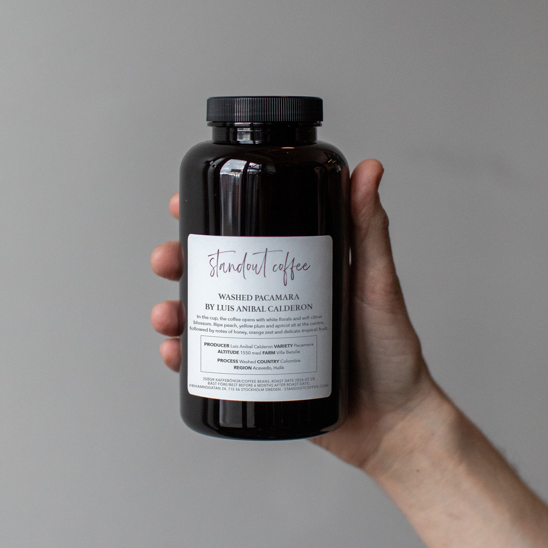 Washed Pacamara – Luis Anibal Calderon, Villa Betulia…