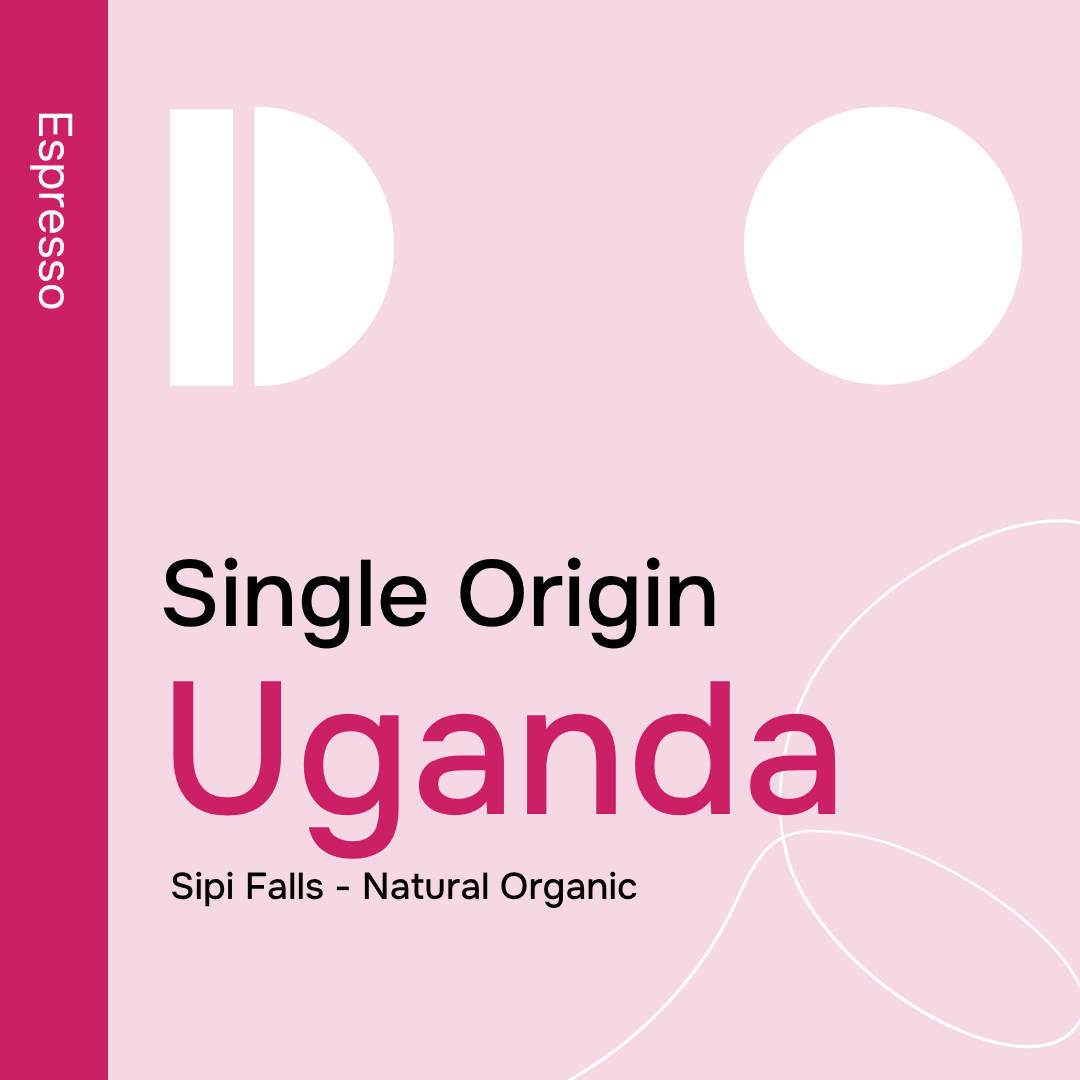 Uganda Sipi Falls Organic - Espresso by Stash Coffee