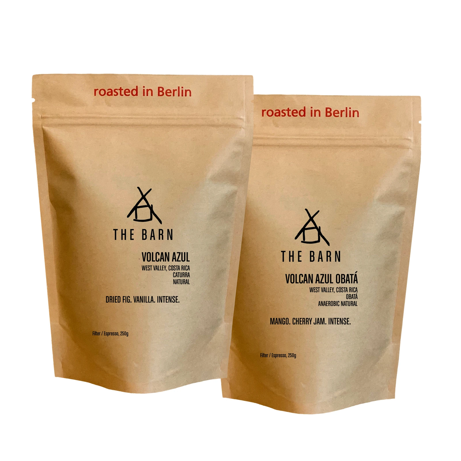 COSTA RICA TWIN BOX — Costa Rica by The Barn