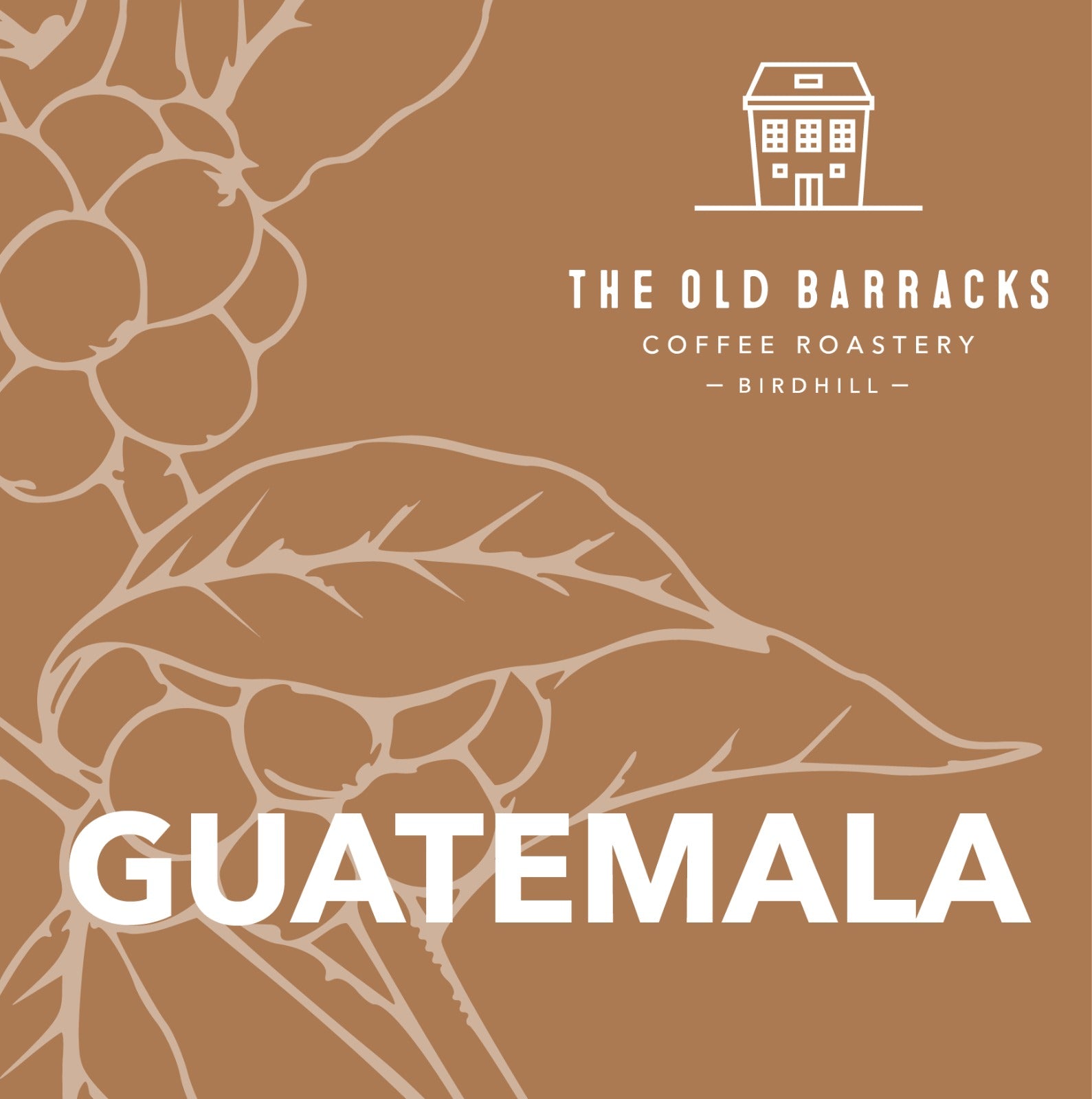 Guatemala, Finca La Soledad by The Old Barracks