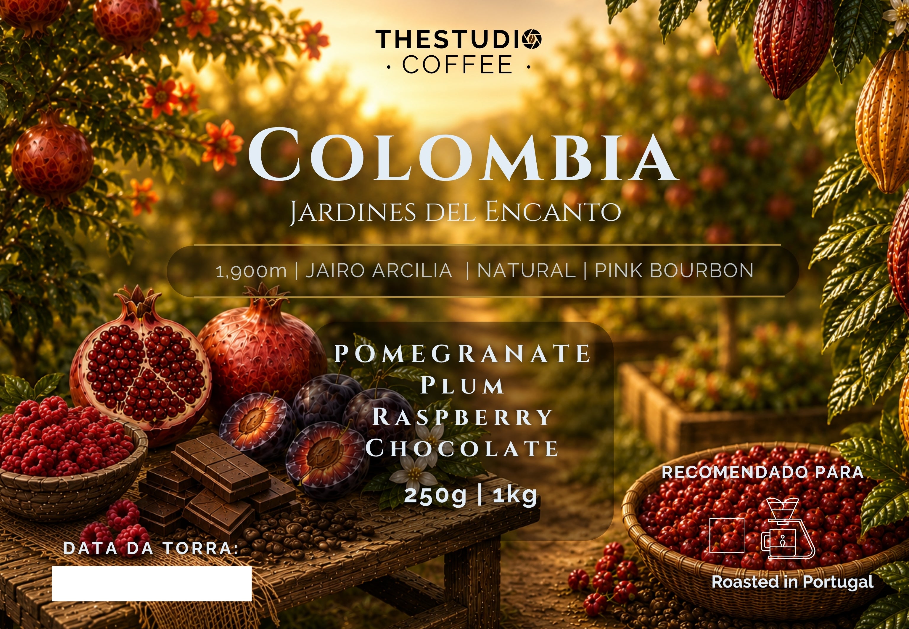 Jadines del Encanto | Colombia by The Studio Coffee