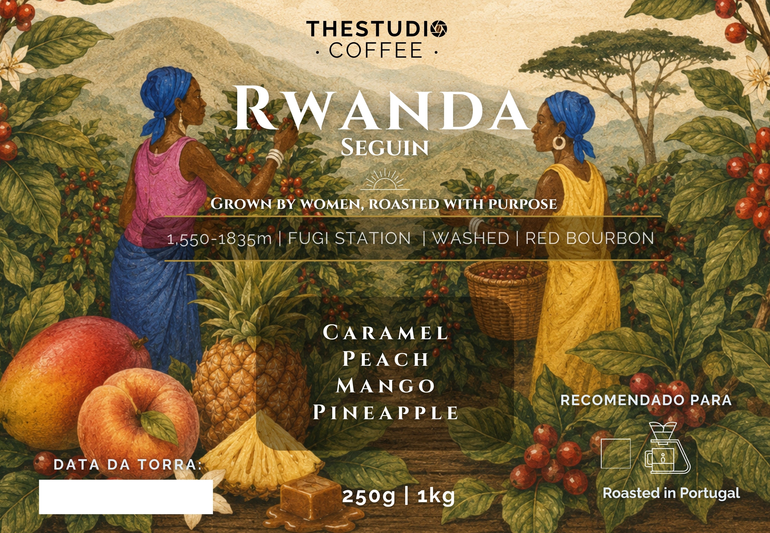 Segin | Rwanda Aerobic Washed by The Studio Coffee
