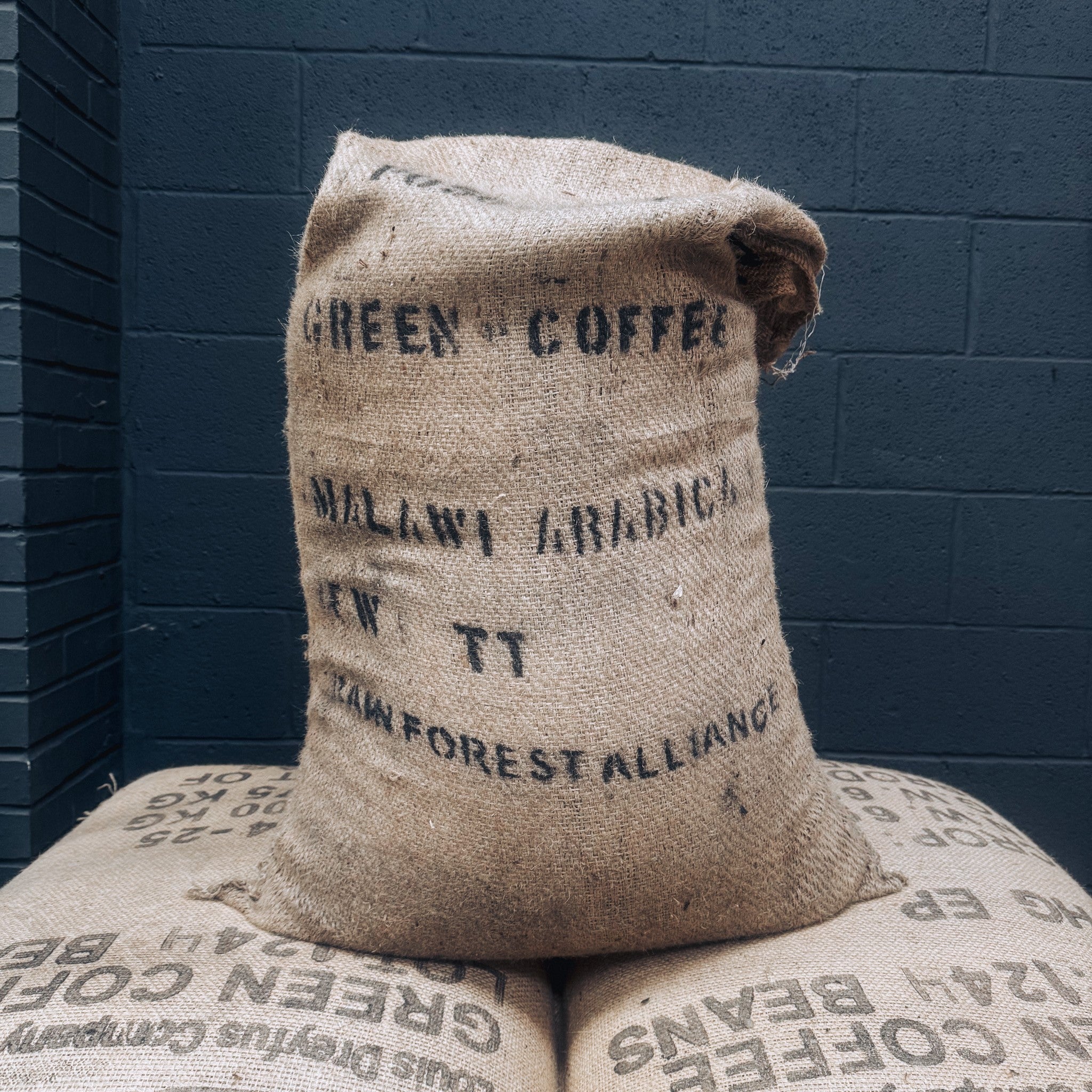 Malawi Green Coffee Beans