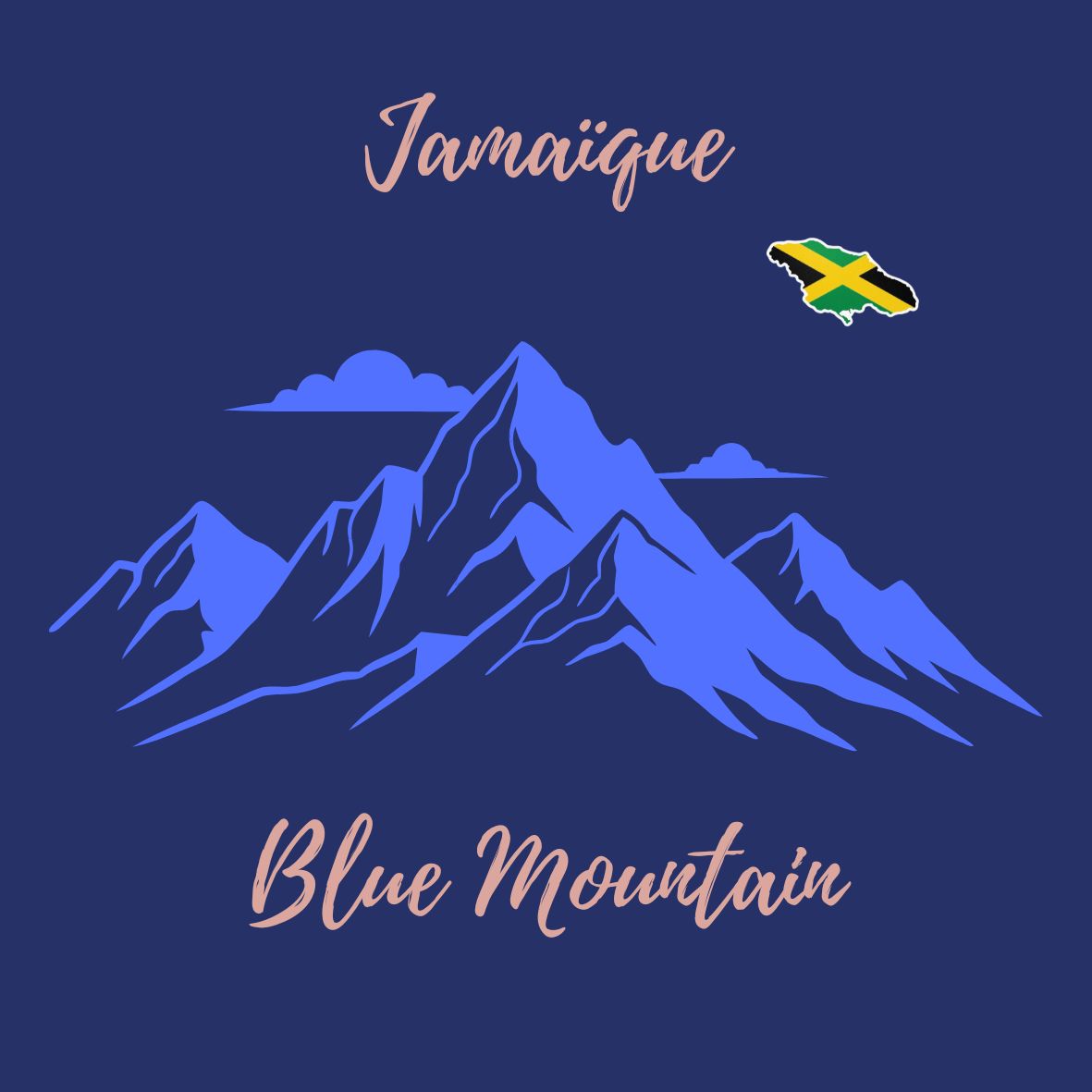 Jamaïque Blue Mountain (125gr) — Jamaica