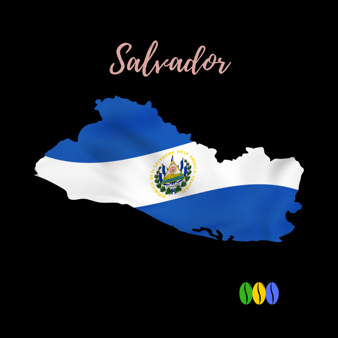 Salvador Coffee - Intensity 3/5 by Vaysartisantorrefacteur