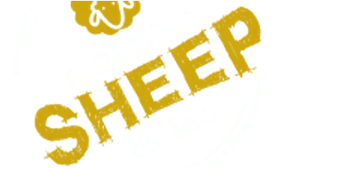 Golden Sheep Coffee